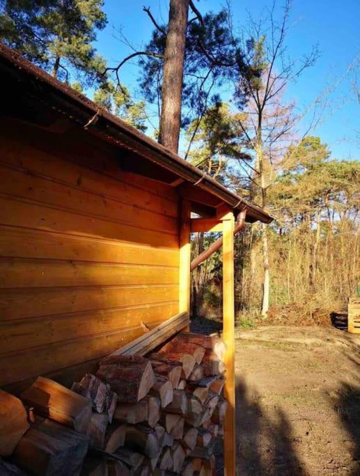 Villa Haus Clemens - Gemuetliches Holzhaus Mit Grundstueck à Königs Wusterhausen Extérieur photo